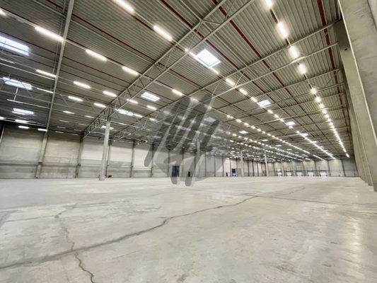 INFOS UNTER: 06171-586000