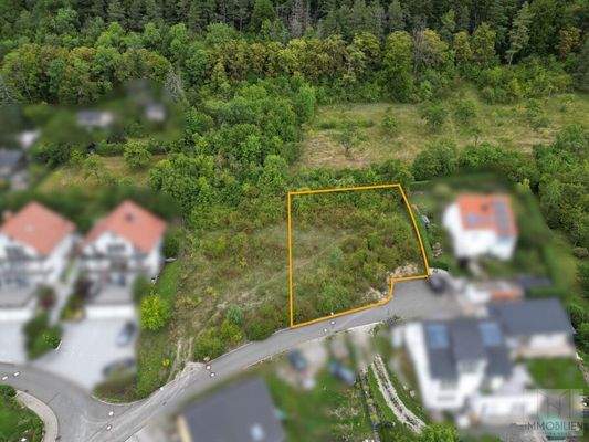 ed168620-56da-43b7-83cb-fb3e74e0a902