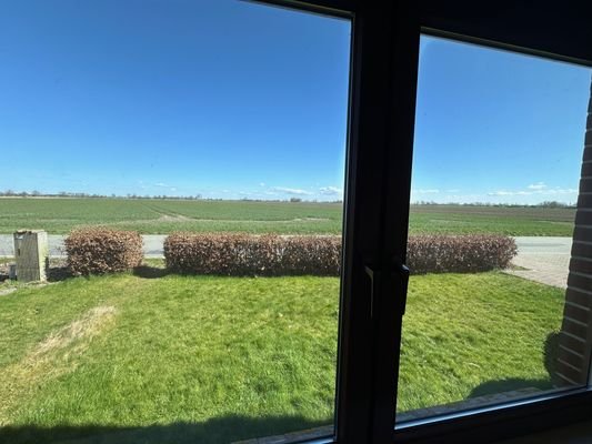 Ausblick nach vorn