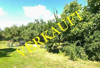 Riesiger Garten mit Obstplantage