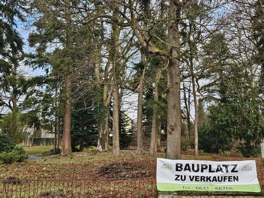 Bauplatz in bester Lage