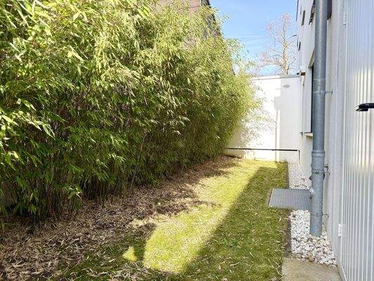 Garten hinter dem Haus