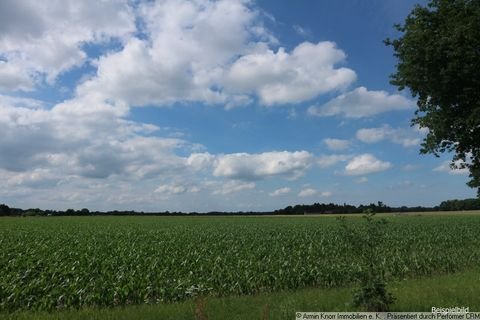 Bad Zwischenahn Bauernhöfe, Landwirtschaft, Bad Zwischenahn Forstwirtschaft