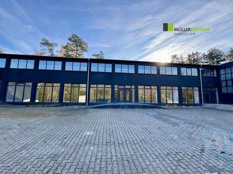 Stolberg (Rheinland) Halle, Stolberg (Rheinland) Hallenfläche