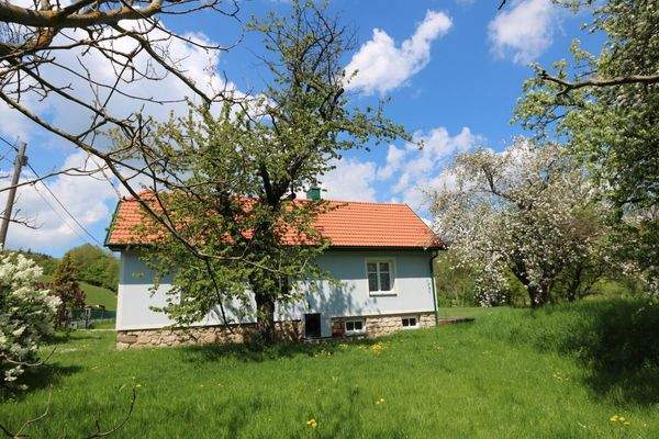 Ostansicht des Hauses/Obstgarten