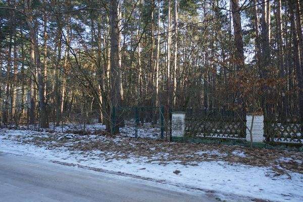 Am Grundstück Straßenseite (1).jpg