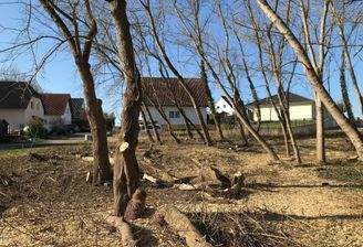 Bodenbeschaffenheit der Bauinsel