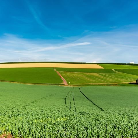 Emmerich am Rhein / Vrasselt Renditeobjekte, Mehrfamilienhäuser, Geschäftshäuser, Kapitalanlage