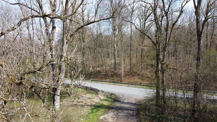 Bild der Zufahrt zur Staatsstraße
