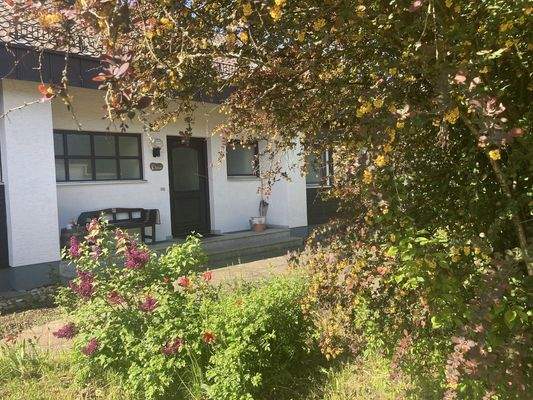 Vorgarten / Eingang