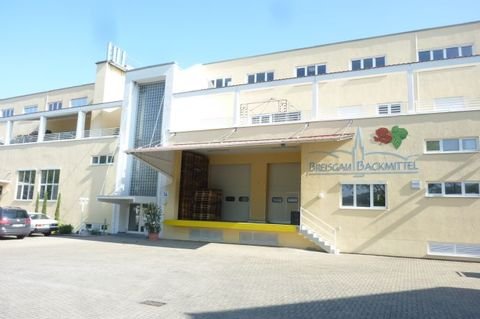 Freiburg im Breisgau Büros, Büroräume, Büroflächen 