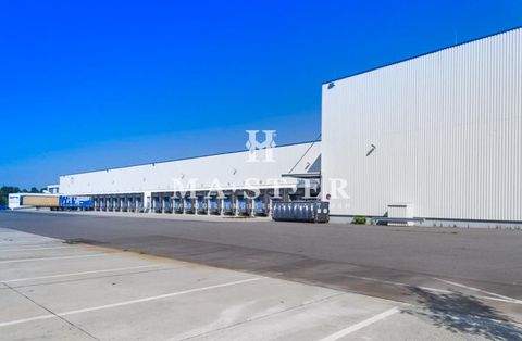 Viersen Halle, Viersen Hallenfläche