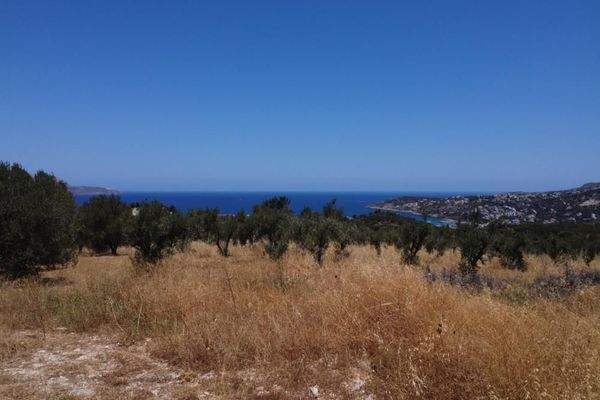Kreta, Tsivaras: Grundstück in malerischer Lage mit Meerblick zu verkaufen