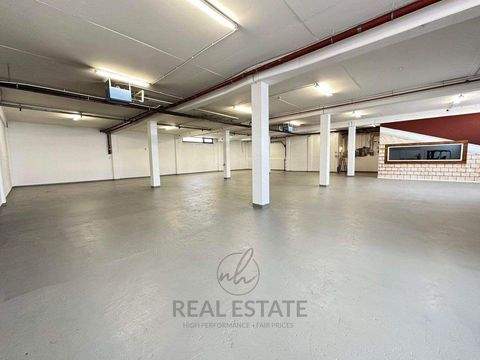 Hamburg Halle, Hamburg Hallenfläche