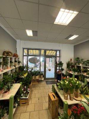 Verkaufsfläche (1).jpg