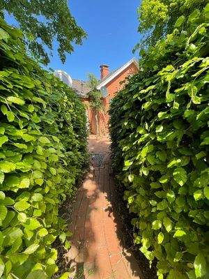 Gang zum Garten seitlich
