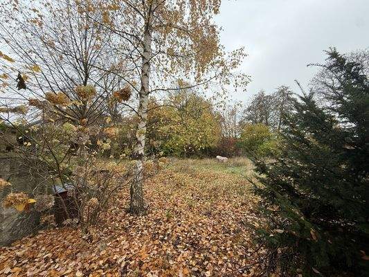 Garten Herbst