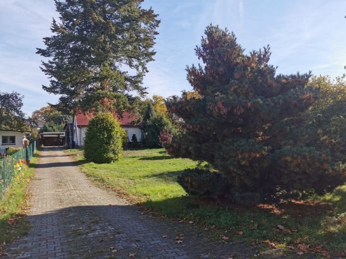 WUNDERVOLL - Großes Grundstück mit kleinem Wohnhaus, Wintergarten, Carport und Terrasse