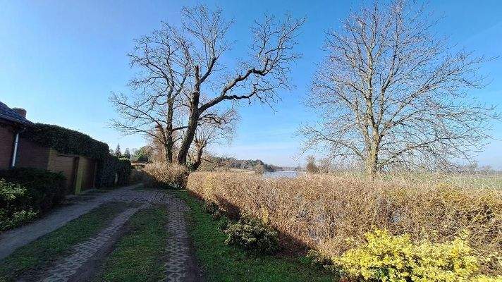 Weg zum Parchauer See