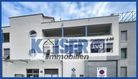 Waldshut-Tiengen Halle, Waldshut-Tiengen Hallenfläche