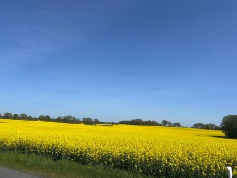 Malchin Bauernhöfe, Landwirtschaft, Malchin Forstwirtschaft