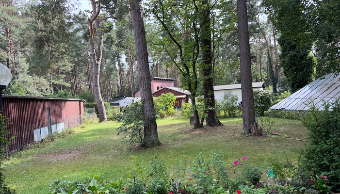 Blick in den Garten.png