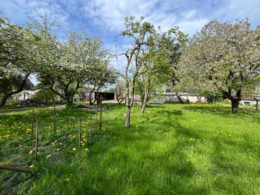 Obstgarten