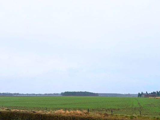 Aussicht von der Terasse