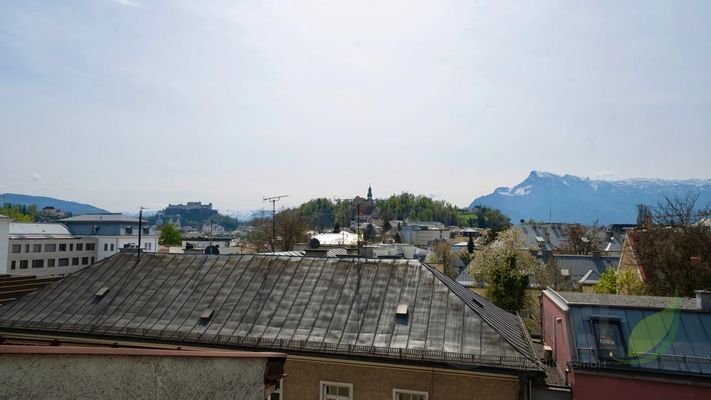 DSC03224