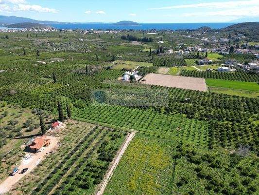 img_21df27c6-addd-45c0-9522-678ad709bb7a