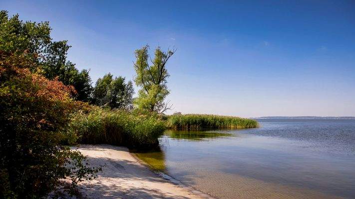 Lieper-Winkel_Naturstrand