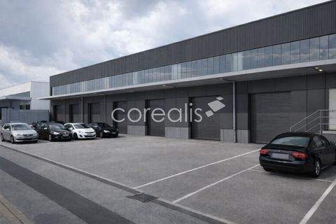 Krefeld Halle, Krefeld Hallenfläche