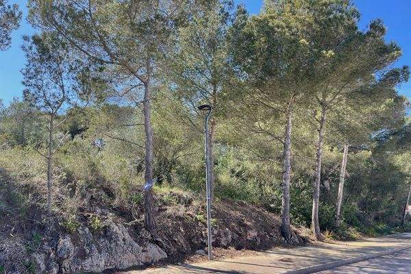 Ansicht des Baugrundstücks