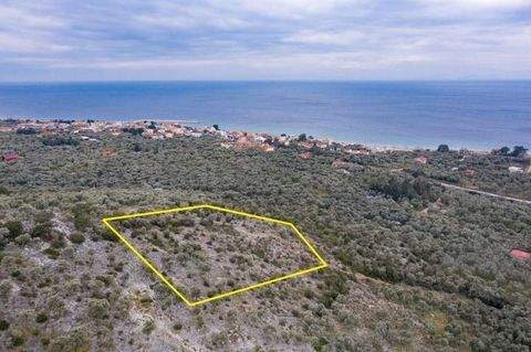 Skala Sotiros, Thassos.  Grundstücke, Skala Sotiros, Thassos.  Grundstück kaufen