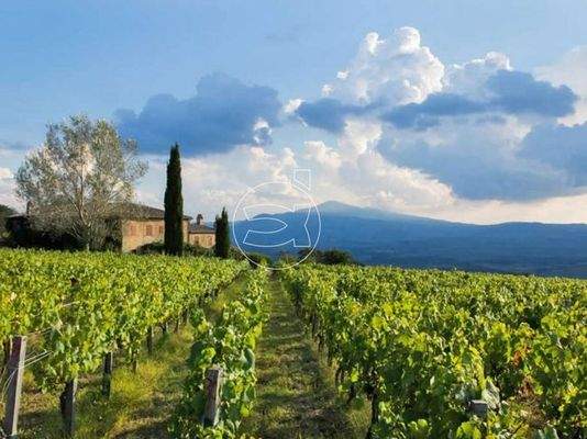 Wunderschönes Anwesen | Montalcino