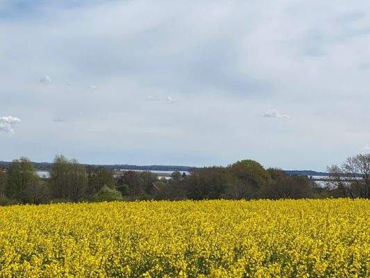 Blick auf die Schlei