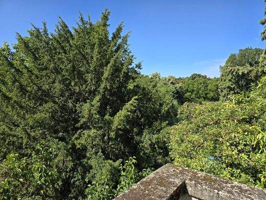 Ausblick Sonnenterrasse