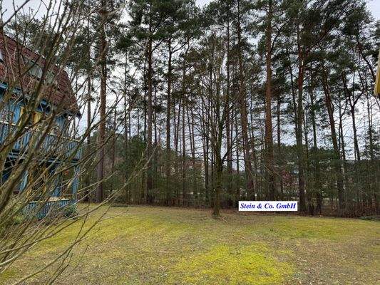 Blick von der Terrasse