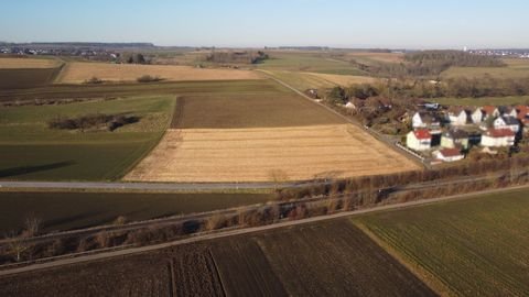 Rammingen Bauernhöfe, Landwirtschaft, Rammingen Forstwirtschaft