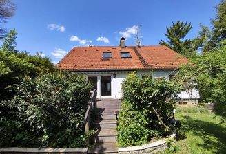 Blick auf die Süd-Terrasse