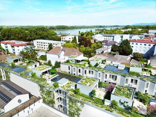 Ansicht Vogelperspektive