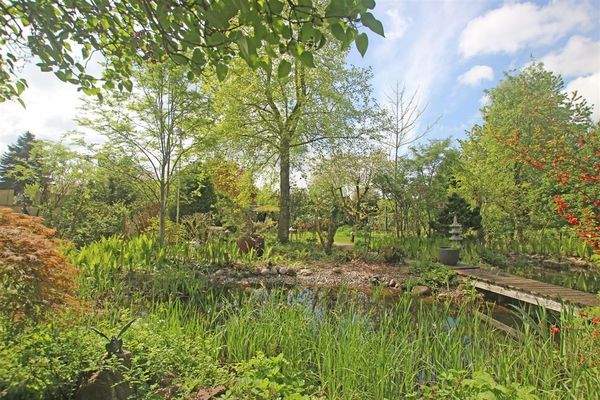 Blick in den Garten - Bild 2