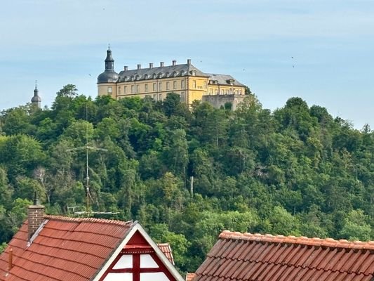 Blick vom Dachgeschoss zum Schloss, Friedrichstein