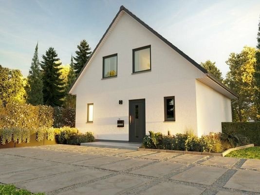 Einfamilienhaus Raumwunder 100 Ansicht Eingang.jpg