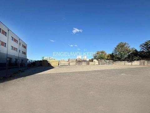 Berlin Halle, Berlin Hallenfläche