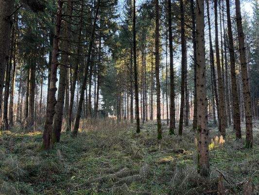 2025-12-10 10.09.36.jpg