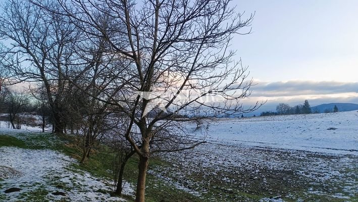 Bild 22