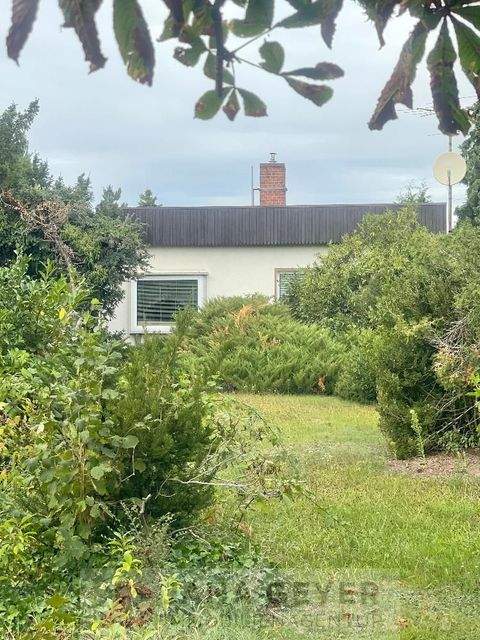 Doberschütz Häuser, Doberschütz Haus kaufen