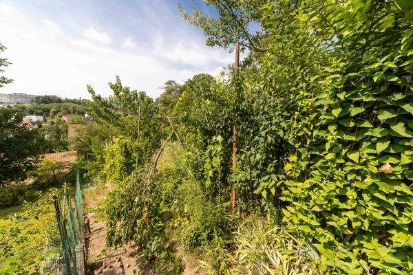 26 août 2025-14145C9A9769.jpg