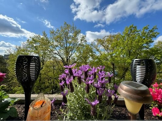 Balkon mit Aussicht.jpg